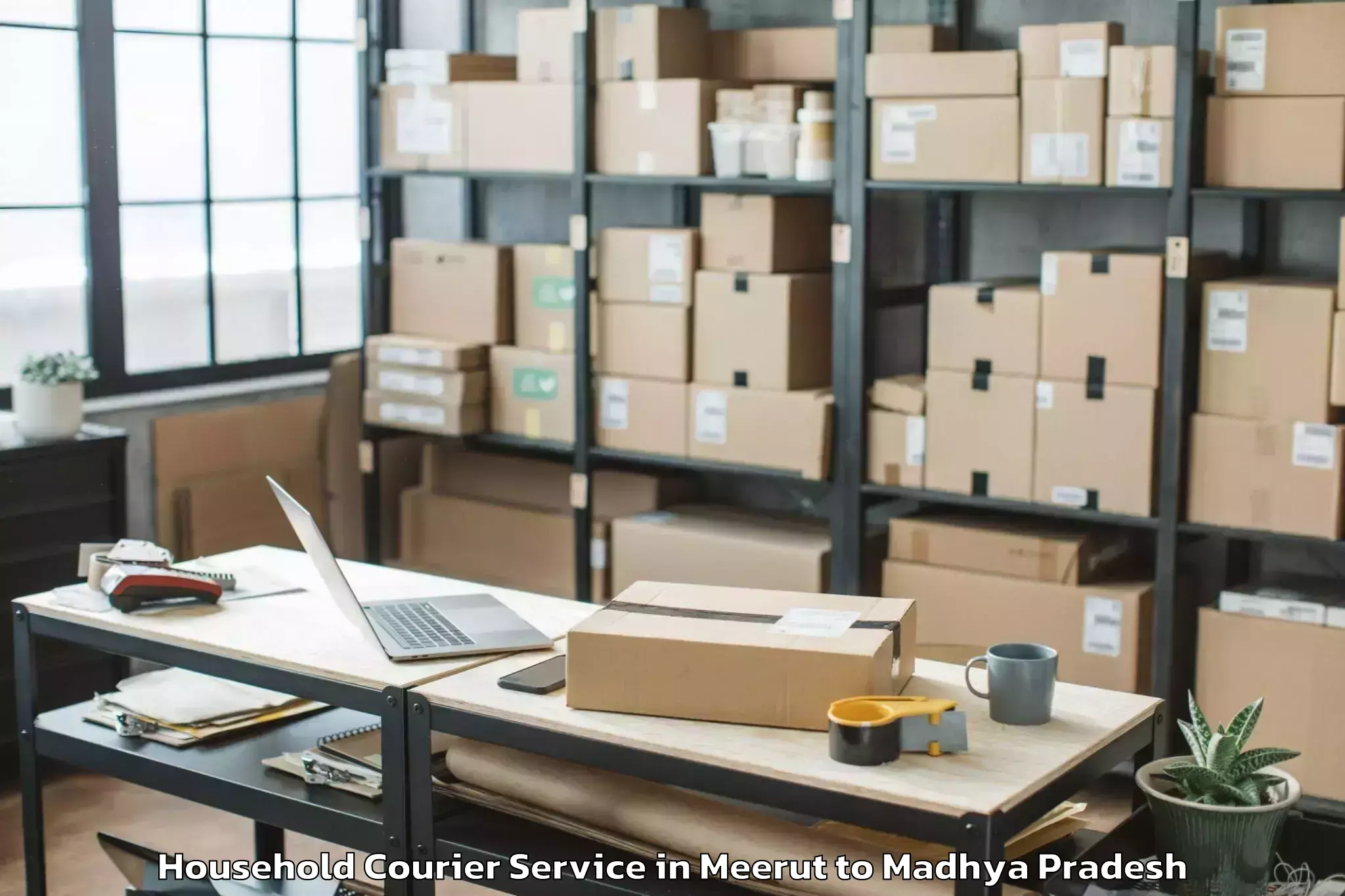 Reliable Meerut to Satwas Household Courier